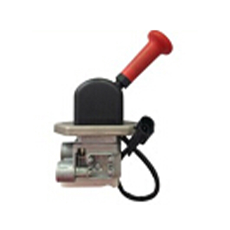 Comhla Rialaithe Láimhe le Lasc Leictreonach 24V